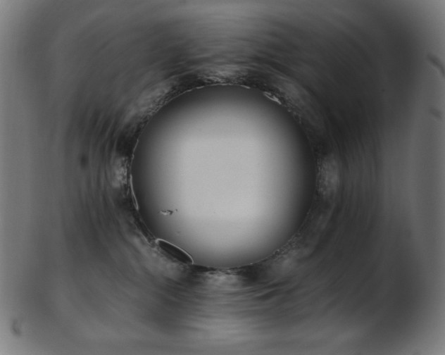 X0000103480284200809121657