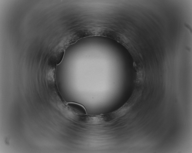 X0000103480286200809121657