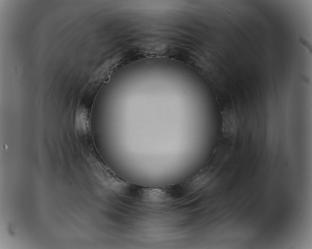 X0000103480287200809121657