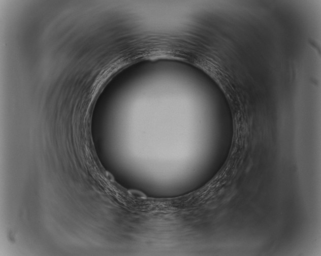 X0000103480289200809121656