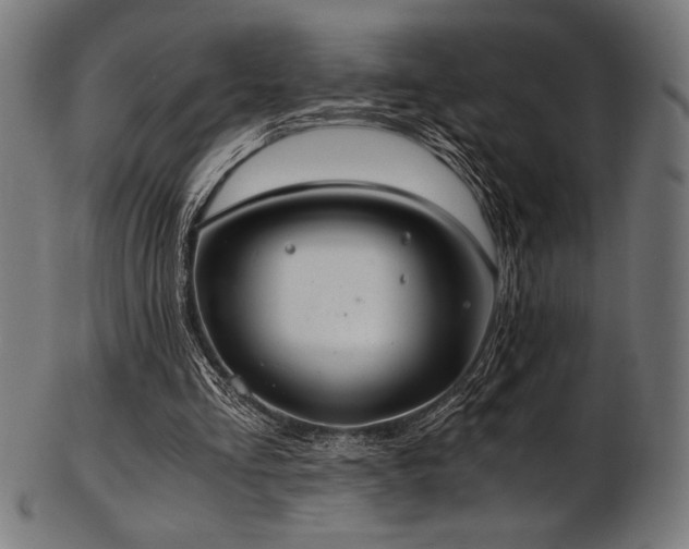 X0000103480293200809121656