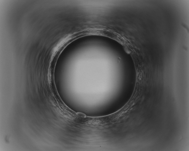 X0000103480294200809121656
