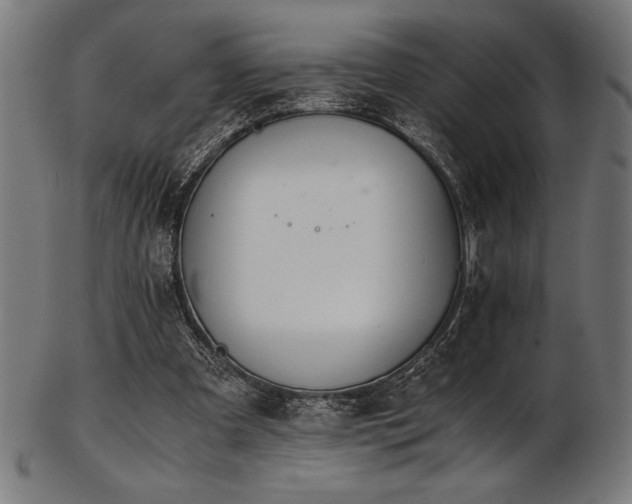 X0000103480297200809121656