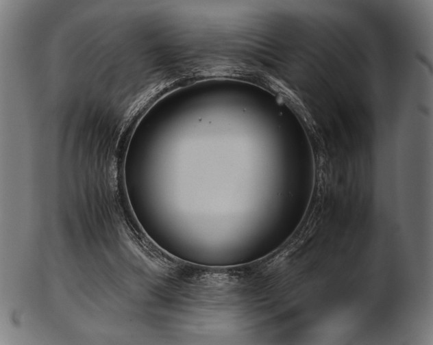 X0000103480298200809121656