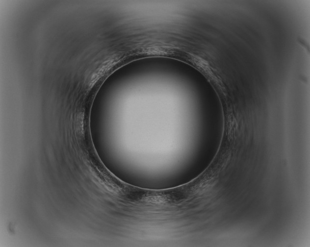 X0000103480299200809121656