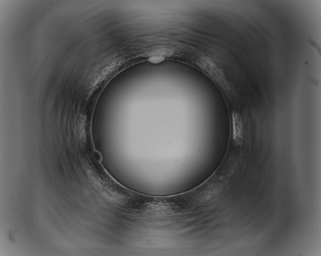 X0000103480300200809121656