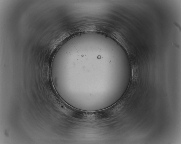 X0000103480301200809121656