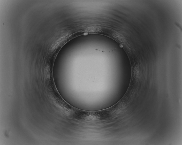X0000103480303200809121656