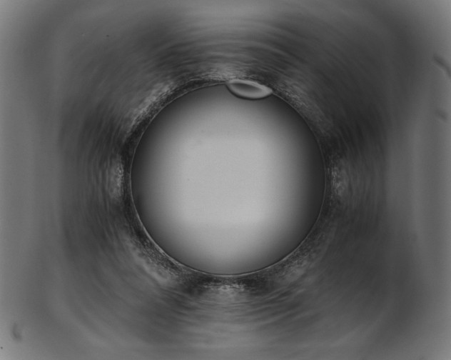X0000103480304200809121656