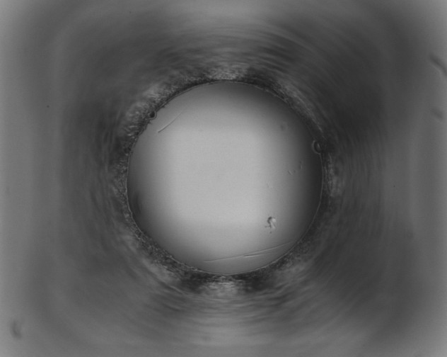 X0000103480307200809121656