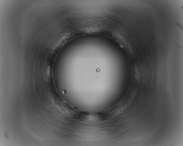 X0000103480308200809121656