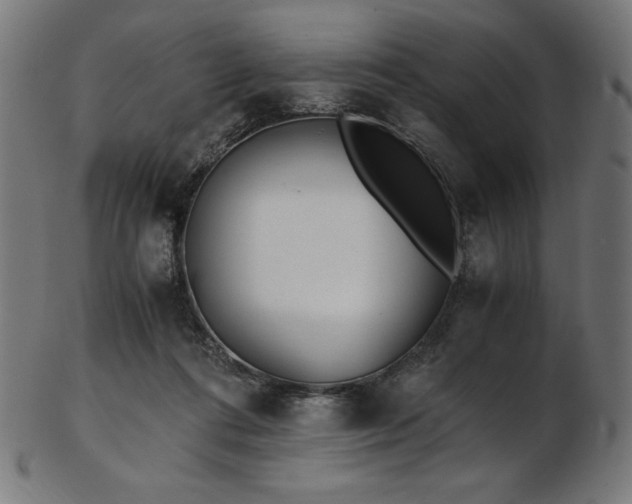 X0000103480312200809121656