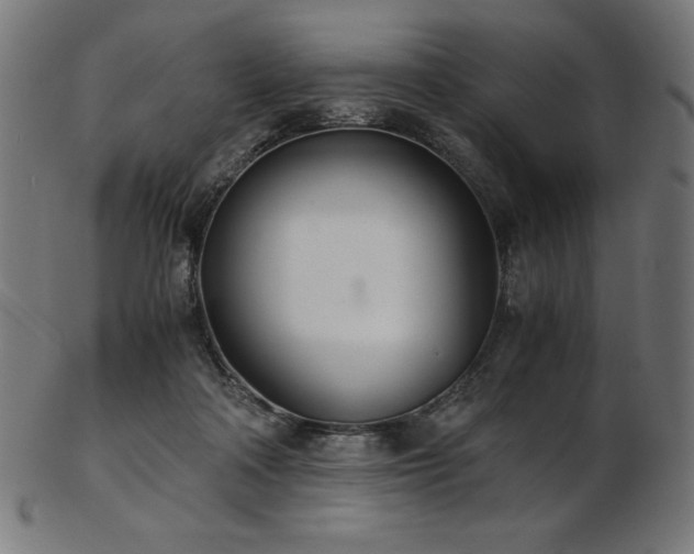 X0000103480314200809121656