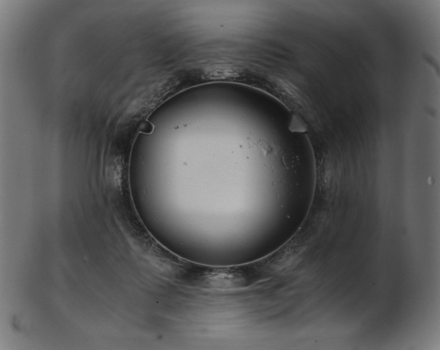 X0000103480315200809121656