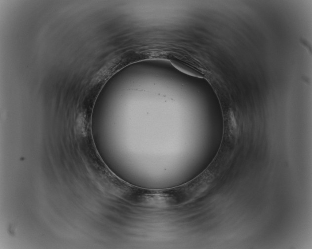 X0000103480316200809121656