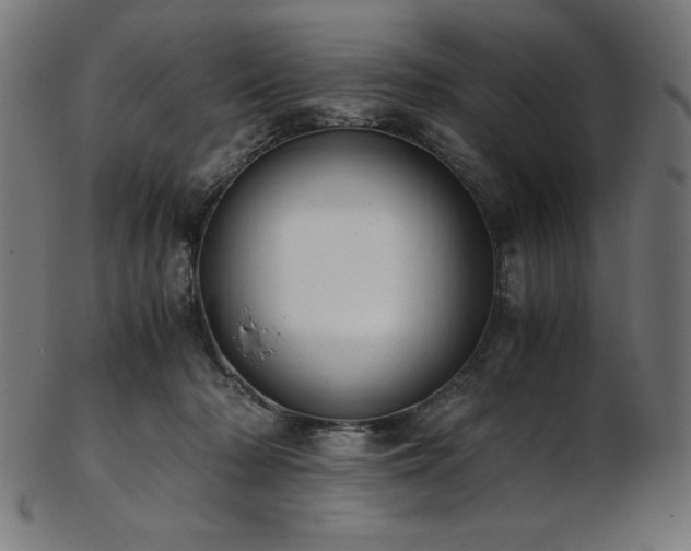 X0000103480318200809121656