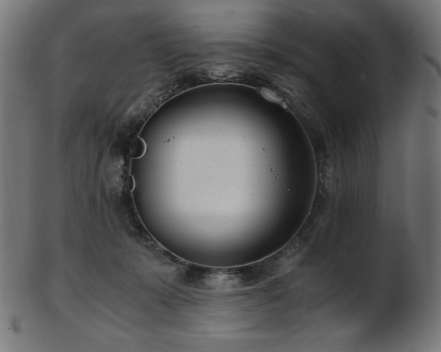X0000103480319200809121656