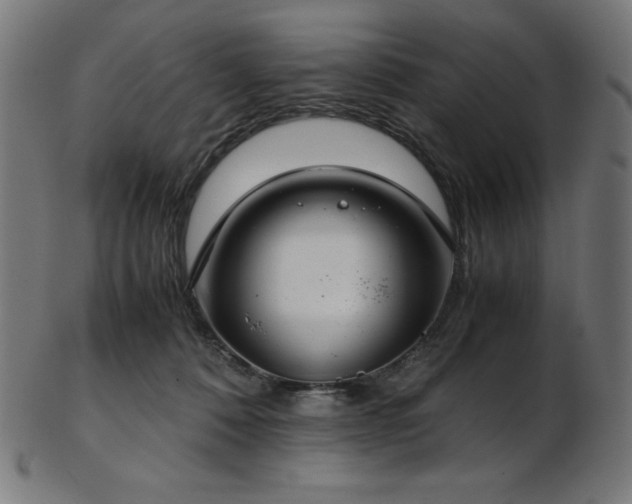 X0000103480320200809121655