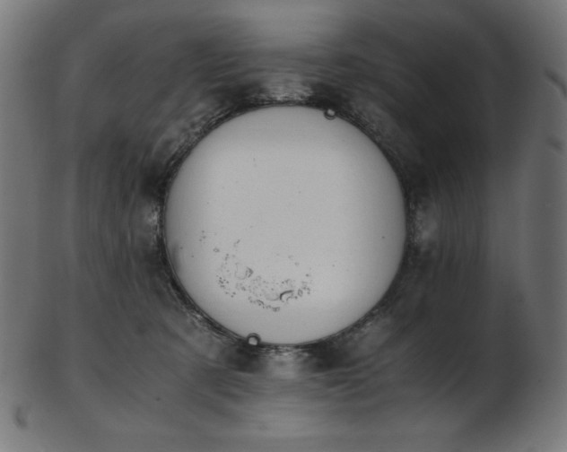X0000103480321200809121655