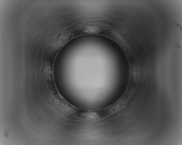 X0000103480322200809121655