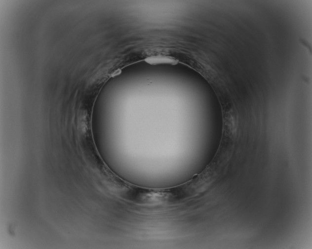 X0000103480323200809121655