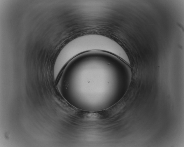 X0000103480324200809121655