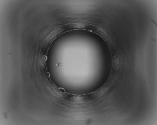 X0000103480325200809121655