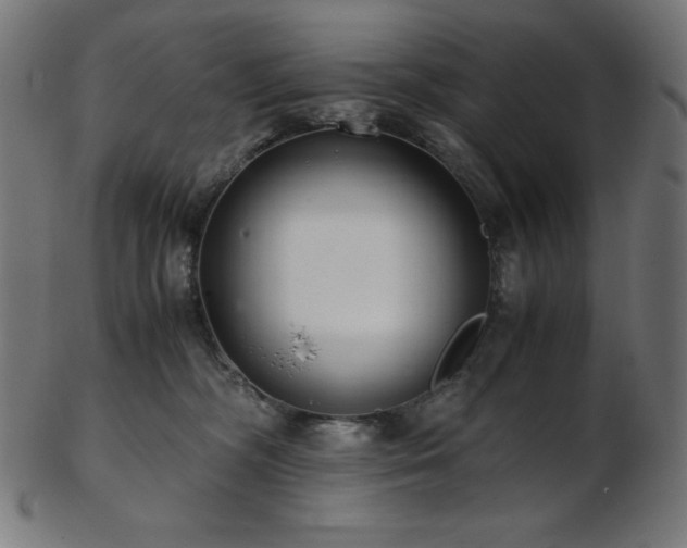 X0000103480326200809121655