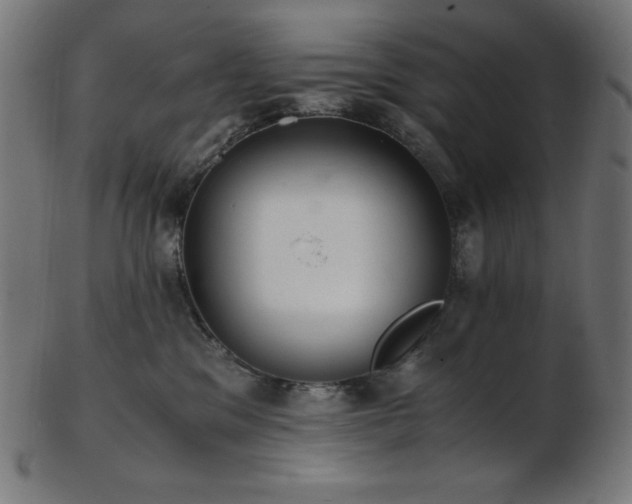X0000103480329200809121655