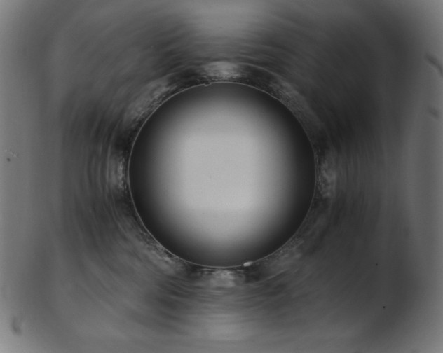 X0000103480330200809121655