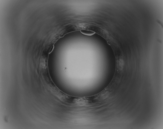 X0000103480331200809121655