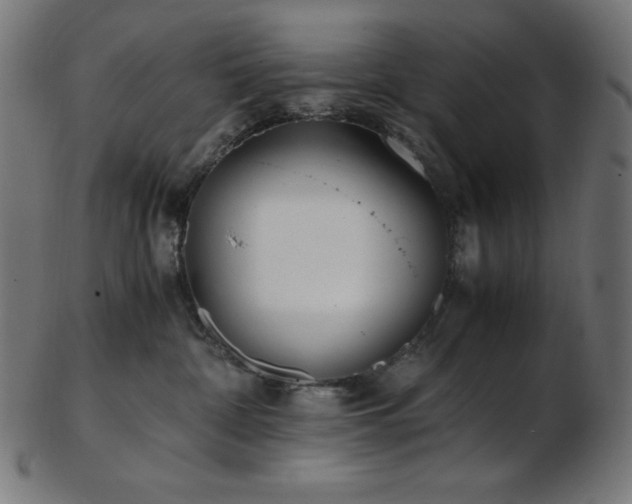 X0000103480332200809121655