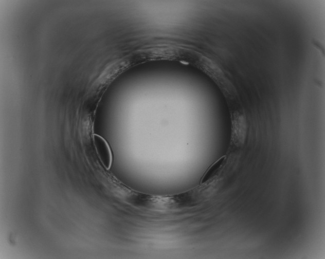 X0000103480333200809121655