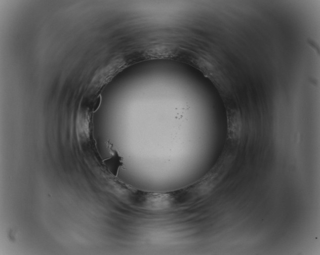 X0000103480334200809121655