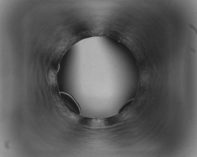 X0000103480335200809121655