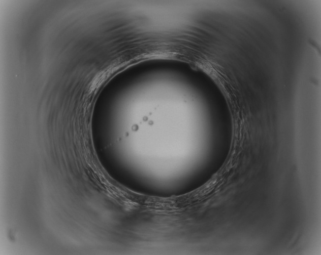 X0000103480337200809121655