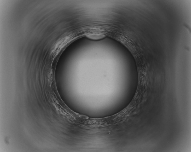 X0000103480338200809121655