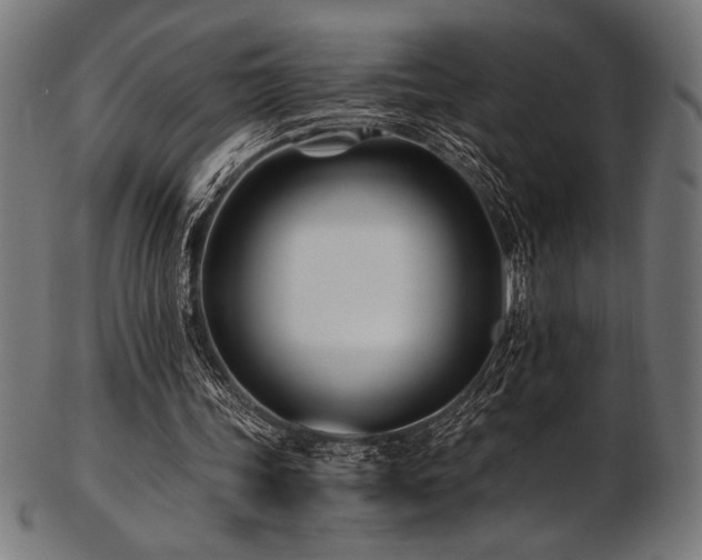 X0000103480339200809121655