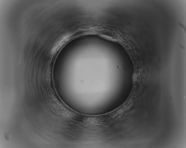 X0000103480341200809121655
