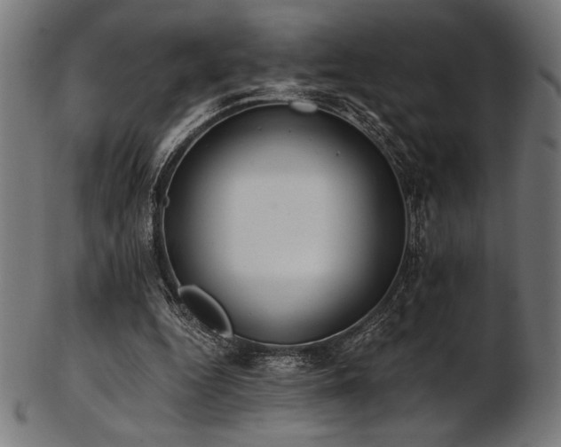 X0000103480344200809121655