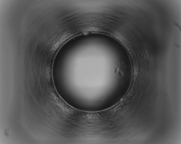 X0000103480345200809121655