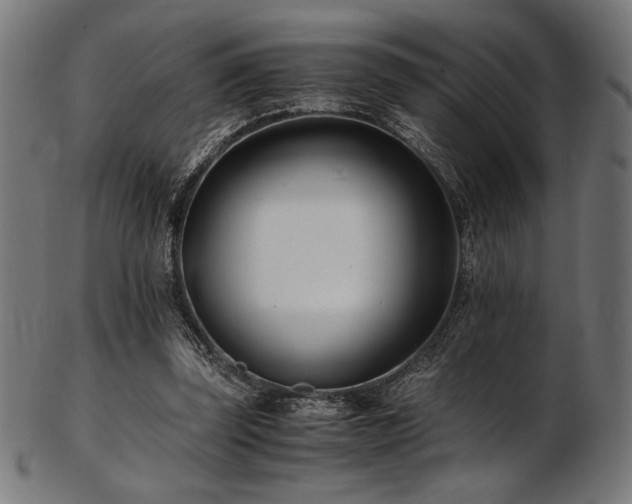 X0000103480347200809121655