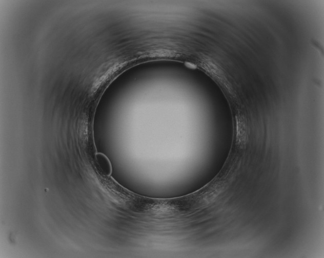 X0000103480348200809121655