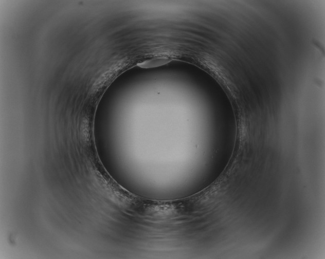 X0000103480353200809121655
