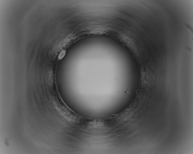 X0000103480354200809121655