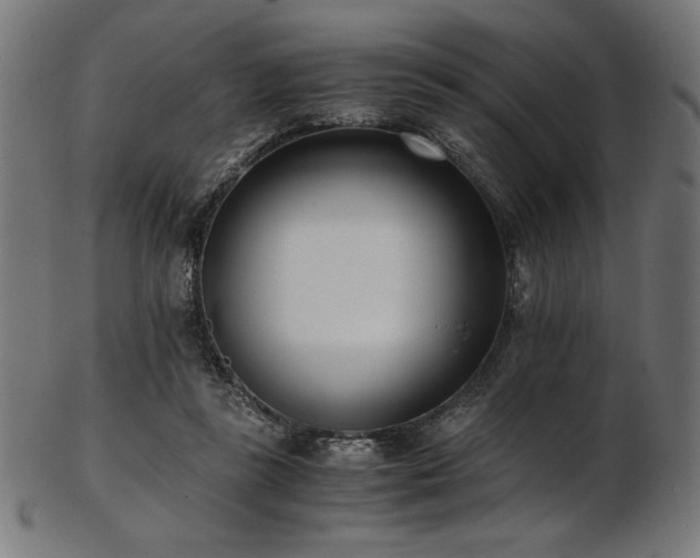 X0000103480355200809121655