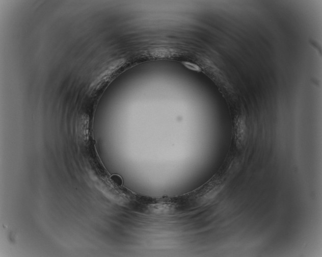 X0000103480356200809121655