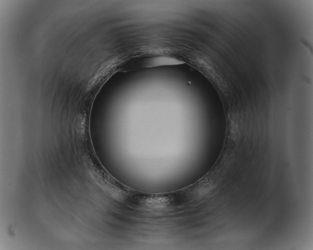X0000103480357200809121655