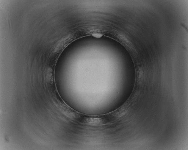 X0000103480361200809121655