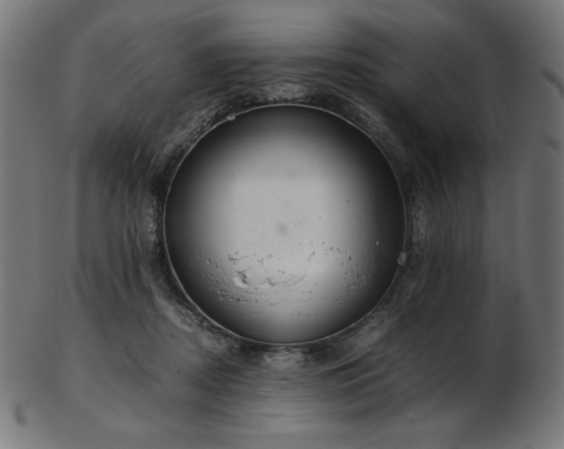 X0000103480362200809121655